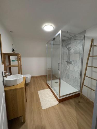 a bathroom with a glass shower and a sink at Escapade à Pierry in La Celle-sous-Gouzon