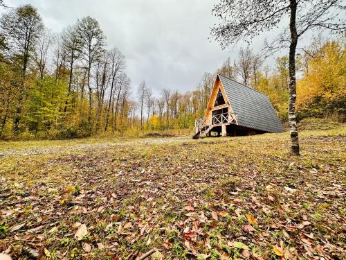 a barn in the middle of a field with leaves at Araucaria Lodge Cabaña Alpina cerca del Parque Conguillío in Curacautín
