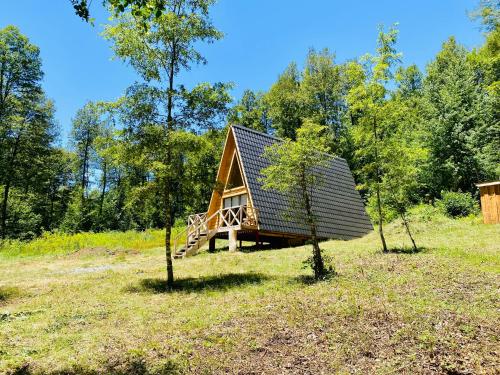 een kleine hut midden in een veld bij Araucaria Lodge Cabaña Alpina cerca del Parque Conguillío in Curacautín