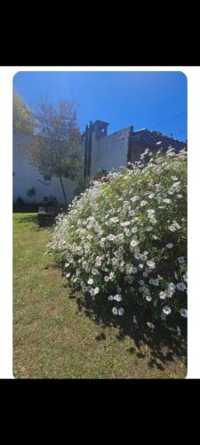 Galeriebild der Unterkunft La china in Mar del Plata