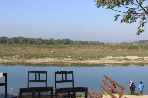 a group of chairs sitting in front of a lake at Jungle Wildlife Camp in Sauraha