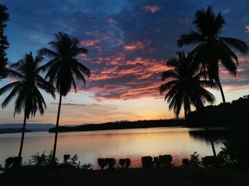 Naturlandskabet i nærheden af lejligheden