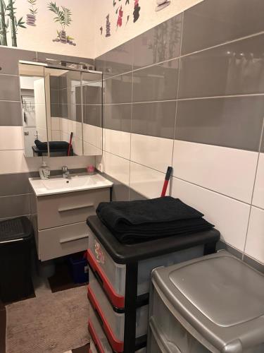 een badkamer met een wastafel en een spiegel bij Résidence de la libération in Schifflange