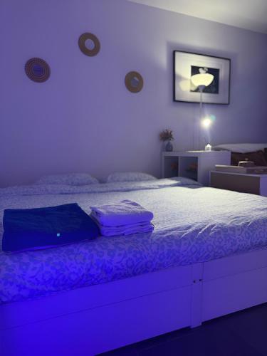a bedroom with a bed with a purple lighting at Studio Design à Mulhouse in Mulhouse