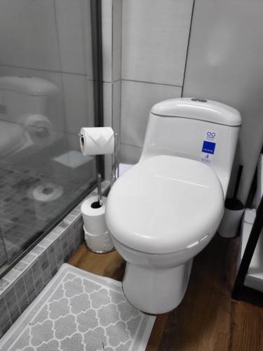 a white toilet in a bathroom with a shower at Santa Catalina Surf Studios- Ocean Adventures in Santa Catalina