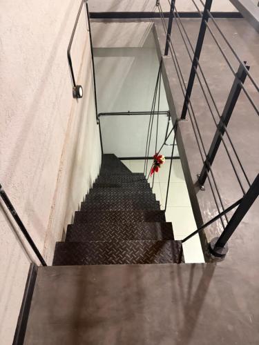 een trap met een glazen wand en een rode bloem erop. bij Departamento Loft Costanera in Gualeguaychú