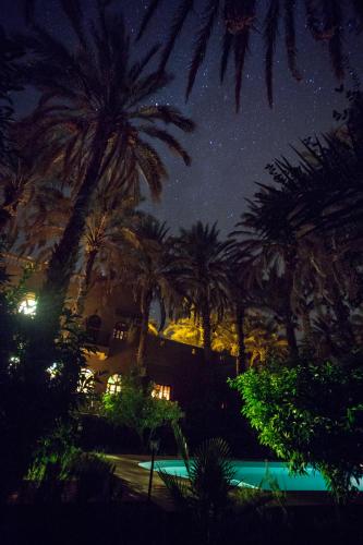 a starry night with palm trees and a swimming pool at Riad Soleil du Monde in Zagora