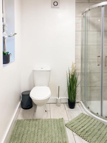 ein Badezimmer mit Toilette und Dusche und zwei Teppichen in der Unterkunft Cozy home in Kings Lynn