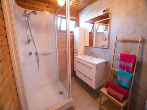 ein Badezimmer mit Dusche und Waschbecken in der Unterkunft Luxury Forest Lodge with Private Garden in Overbroek