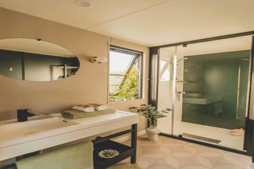 a bathroom with a sink and a shower and a mirror at 6-Guest Escape with Private Garden & Wi-Fi in Overbroek