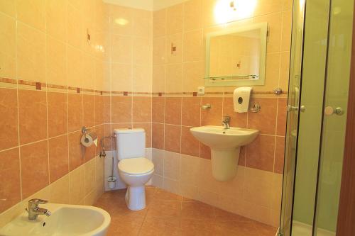 a bathroom with a toilet and a sink at Penzion U Čejpu in Prague