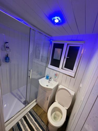 a white bathroom with a toilet and a sink at Cozy living in Great Barr Birmingham in Holly Lane