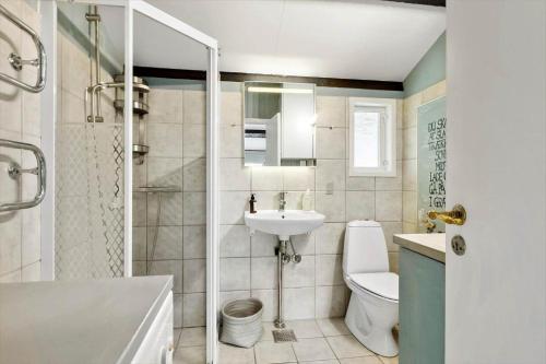 a bathroom with a sink and a toilet and a shower at 3006-Stege-Bunden-6 in Stege