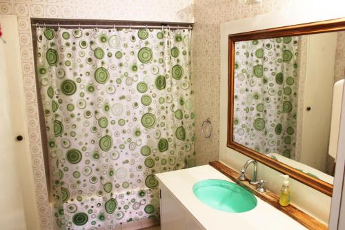 baño con lavabo y cortina de ducha en Areco hospedaje en San Antonio de Areco