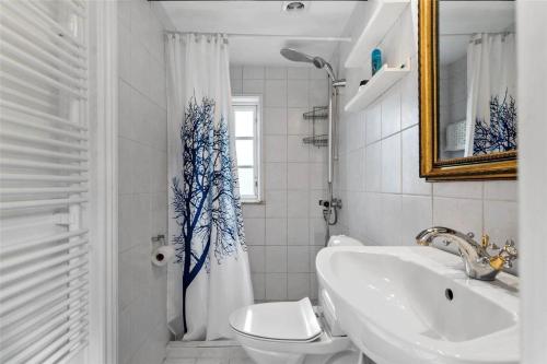 een badkamer met een wastafel, een toilet en een douche bij FA004-Faxe-Ladeplads-Brandskov-4 in Fakse Ladeplads
