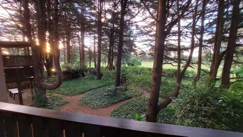 Paysage naturel près de le lodge