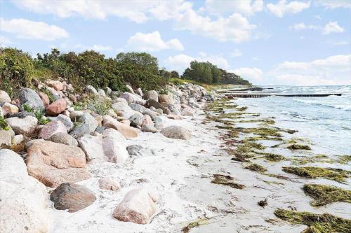 Billede fra billedgalleriet på 3044-Stege-Paelen-24 i Stege