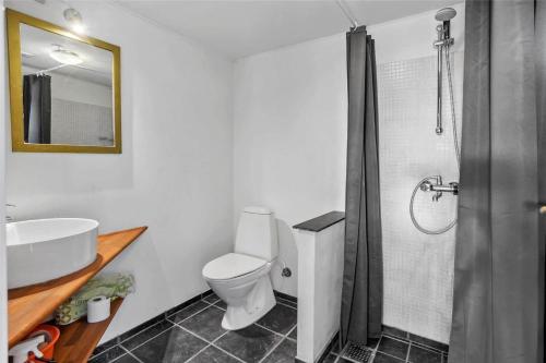 een badkamer met een toilet, een wastafel en een douche bij 6318-Stege-Holtegardsvej-18-B in Stege