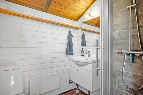 een badkamer met een wastafel en een toilet bij 3046-Stege-Paelen-46 in Stege