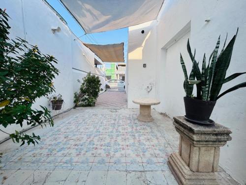 an empty hallway with a potted plant in a building at Casa Playa Blanca in Progreso