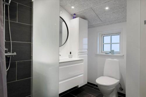 a bathroom with a toilet and a sink and a mirror at OH292-Hadsund-Stenkisten-108 in Hadsund
