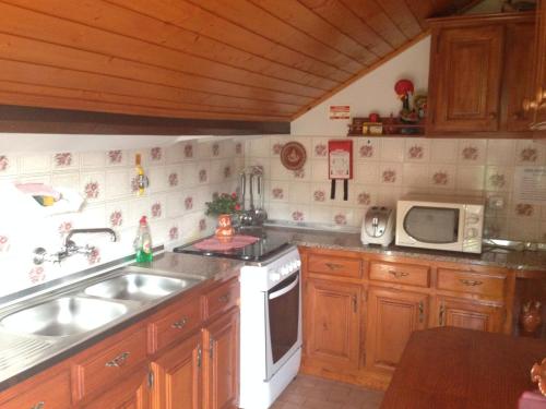 a kitchen with a sink and a microwave at Casa Dos Cabecinhos in Paradamonte