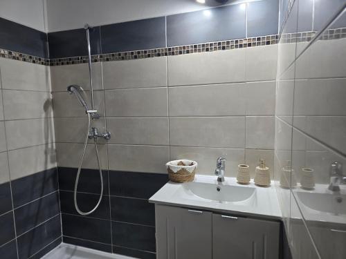 een badkamer met een douche en een wastafel bij ptit coin hibiscus in Pointe-Noire