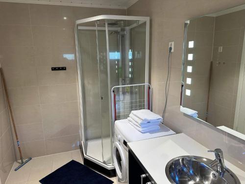 ein Badezimmer mit Dusche und Waschbecken in der Unterkunft 4 star holiday home in Eidsvåg in Eidsvåg