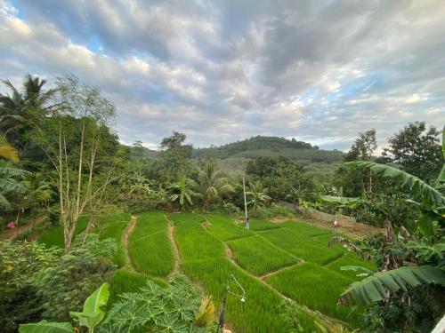 Natuurlandschap vlak bij de homestay