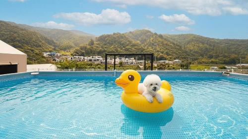 Swimmingpoolen hos eller tæt på Gapyeong Ddobagi Pet & Spa Glamping