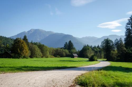 a dirt road in a field with mountains in the background at Sportappartements in Bad Mitterndorf