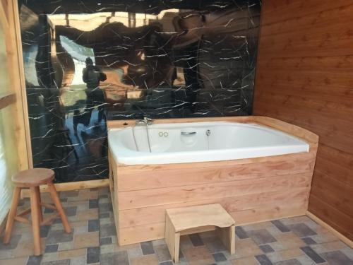 蒙特港Cabin with Jacuzzi的浴室内设有带凳子的浴缸