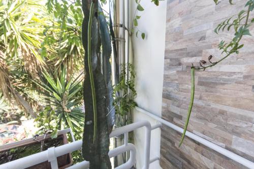 a chair sitting next to a window with plants at B&B Luxury in Lecce