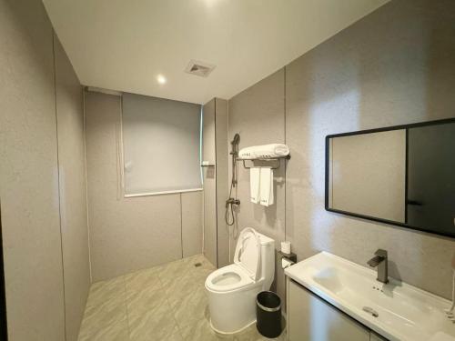 万象四季Four Seasons Hotel的带马桶和水槽的浴室