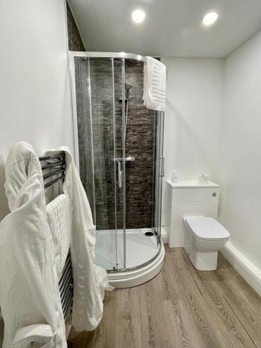 een badkamer met douche en toilet bij Old Mill Tiny Homes in Kirk Leavington