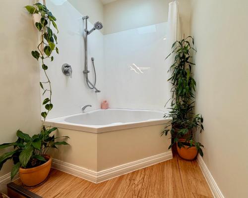 een badkamer met een bad met 2 planten bij The Painters Loft in Dunedin