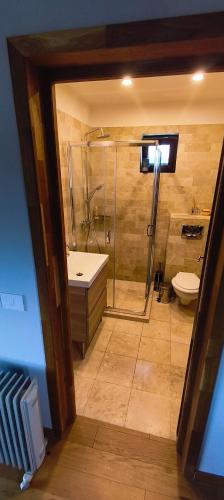a bathroom with a shower and a sink and a toilet at Cabana Mămăruța in Bălceşti