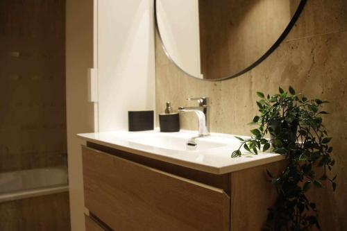 a bathroom sink with a mirror and a potted plant at Apartamenticos Studio 98 in Zaragoza
