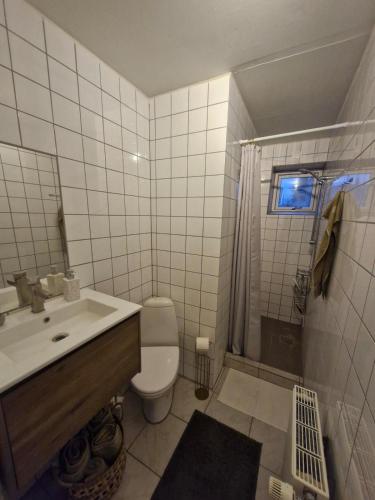 a bathroom with a toilet and a sink and a shower at Cozy Airport stay in Copenhagen