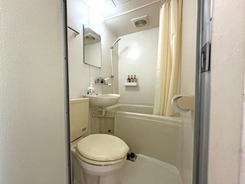 a small bathroom with a toilet and a sink at ペンション風と旅のアトリエ in Tateshina