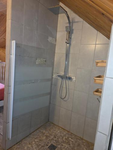 a shower with a glass door in a bathroom at La mare aux canards in Châteauvieux