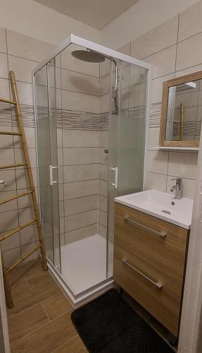 a bathroom with a shower and a sink at Au deuxième in Nogent-sur-Seine