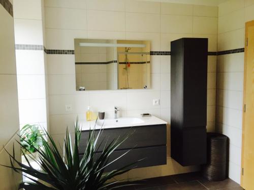 La salle de bains est pourvue d'un lavabo, d'un miroir et d'une plante. dans l'établissement Meublés de Tourisme Heidelbeere, à Dambach