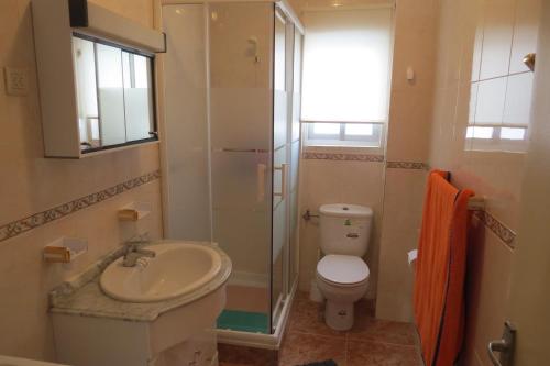 een badkamer met een toilet, een wastafel en een douche bij Apartamento Orgaz in Candelario