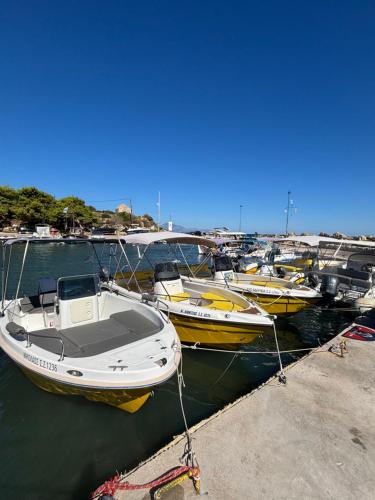 a group of boats are docked in a harbor at Tsilivi Yellow Boats in Zakynthos