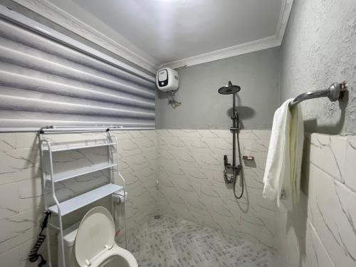 a white bathroom with a toilet and a shower at Masaki Comfort III Dar es Salaam Tanzania in Dar es Salaam