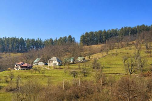 Naturlandskabet i nærheden af lejligheden