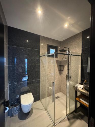 a bathroom with a toilet and a glass shower at Palmera suit in Sapanca