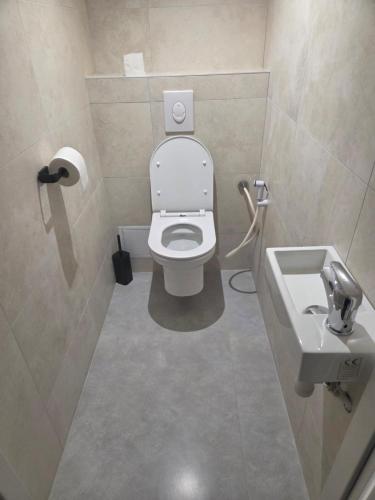 een badkamer met toilet en wastafel bij Les Noisetiers appartement in Saint-Just-Malmont
