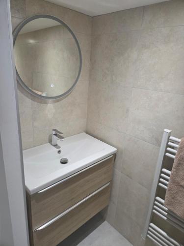 een badkamer met een wastafel en een spiegel bij Les Noisetiers appartement in Saint-Just-Malmont